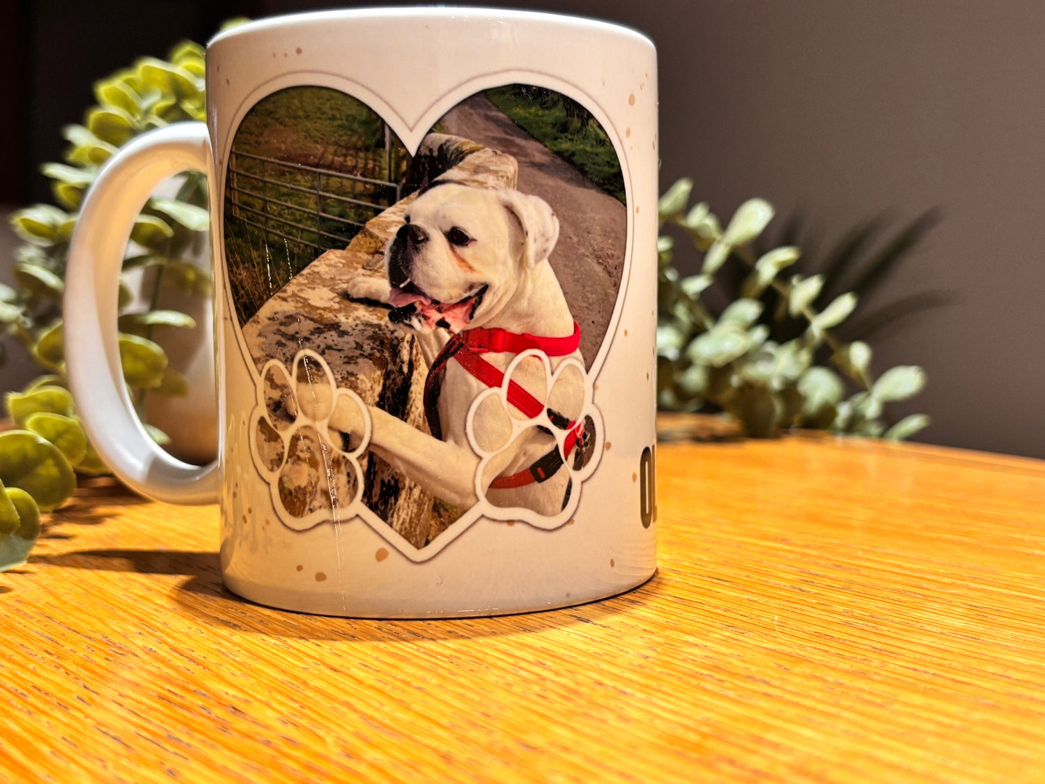 Drinkware